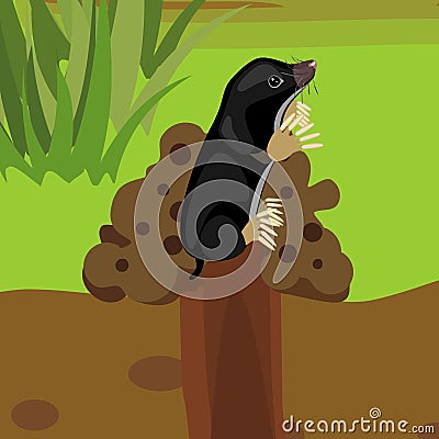 Cartoon black mole on molehill in natural habitat Vector Illustration